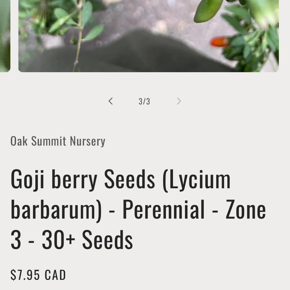 added new seeds to my shop today, I collected all of these last fall locally in southern manitoba, image 8 of 8