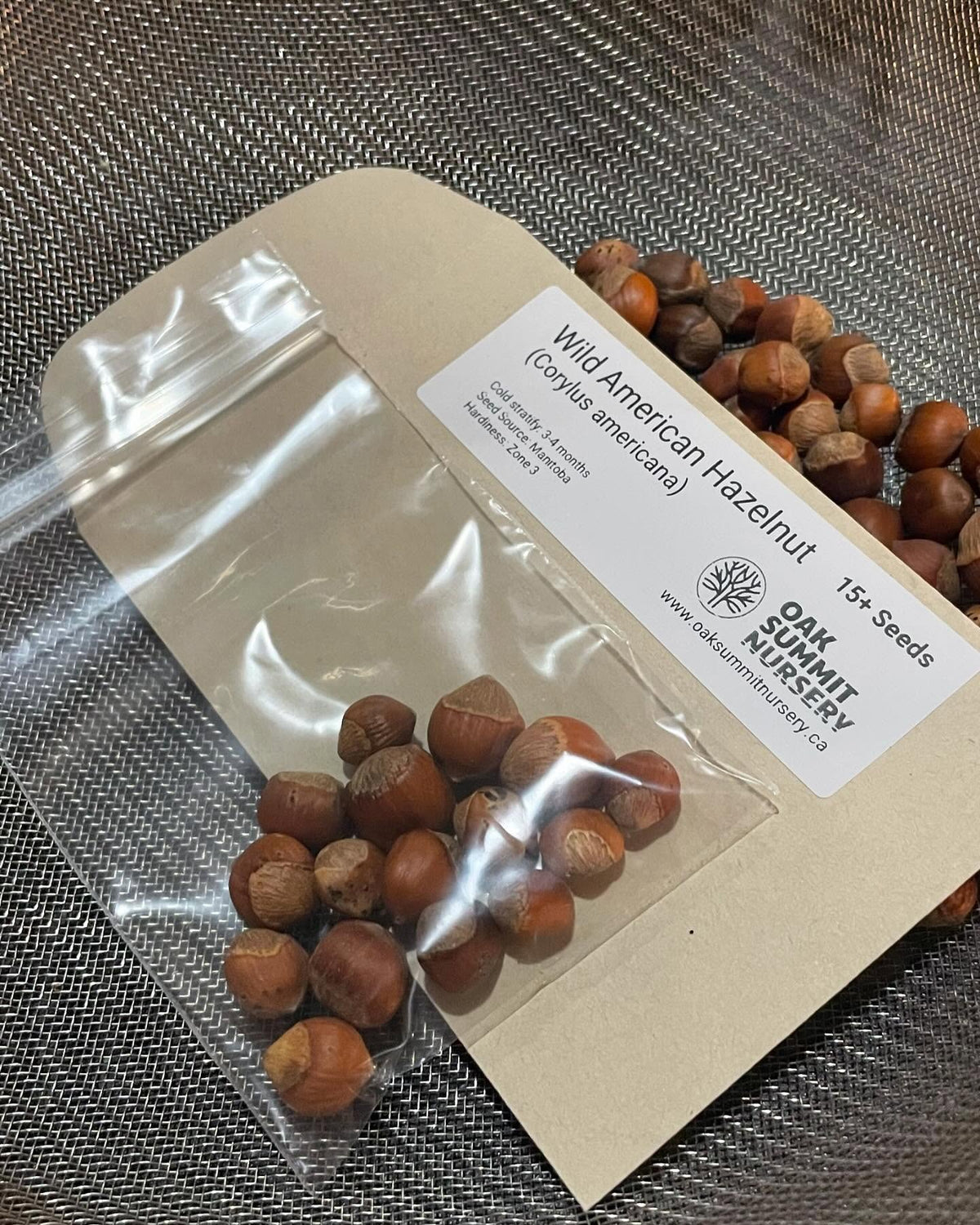 american hazelnut, collected a few big shopping bags this fall for seed, image 2 of 2