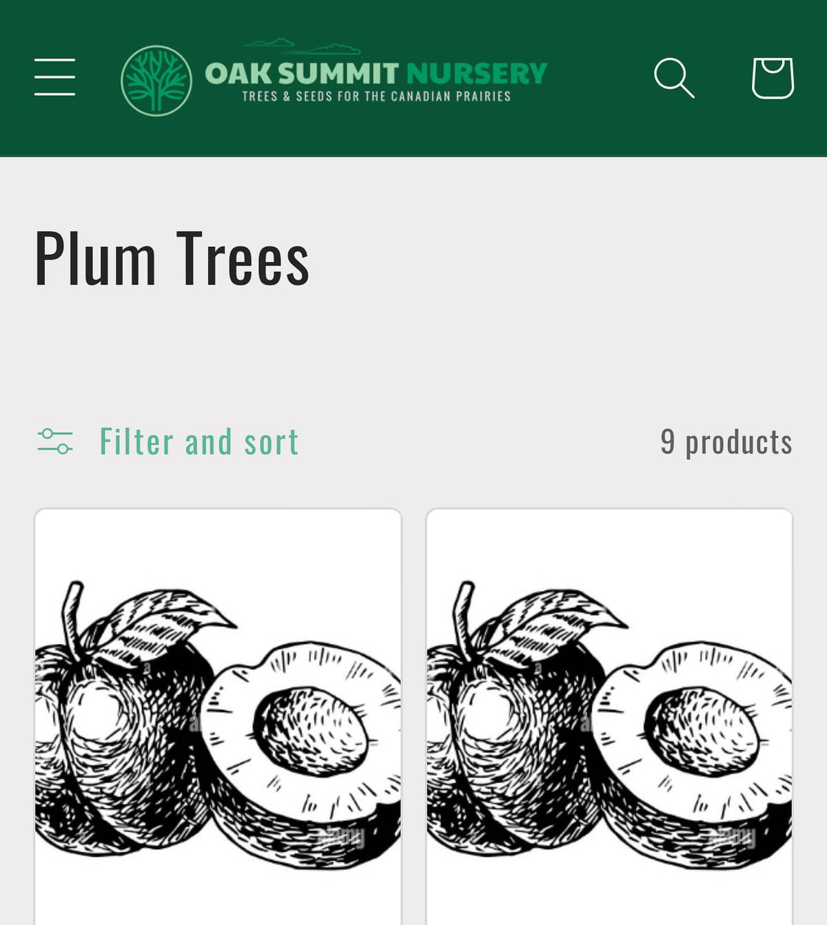 announcing our 2024 catalog is out and we’re taking bare root orders for april/may shipping, image 1 of 6