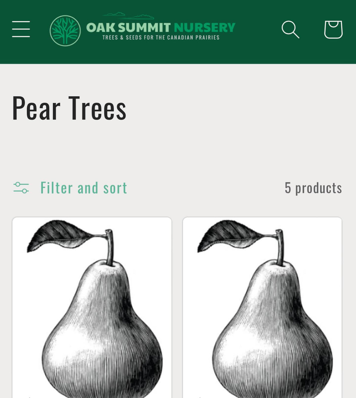 announcing our 2024 catalog is out and we’re taking bare root orders for april/may shipping, image 2 of 6
