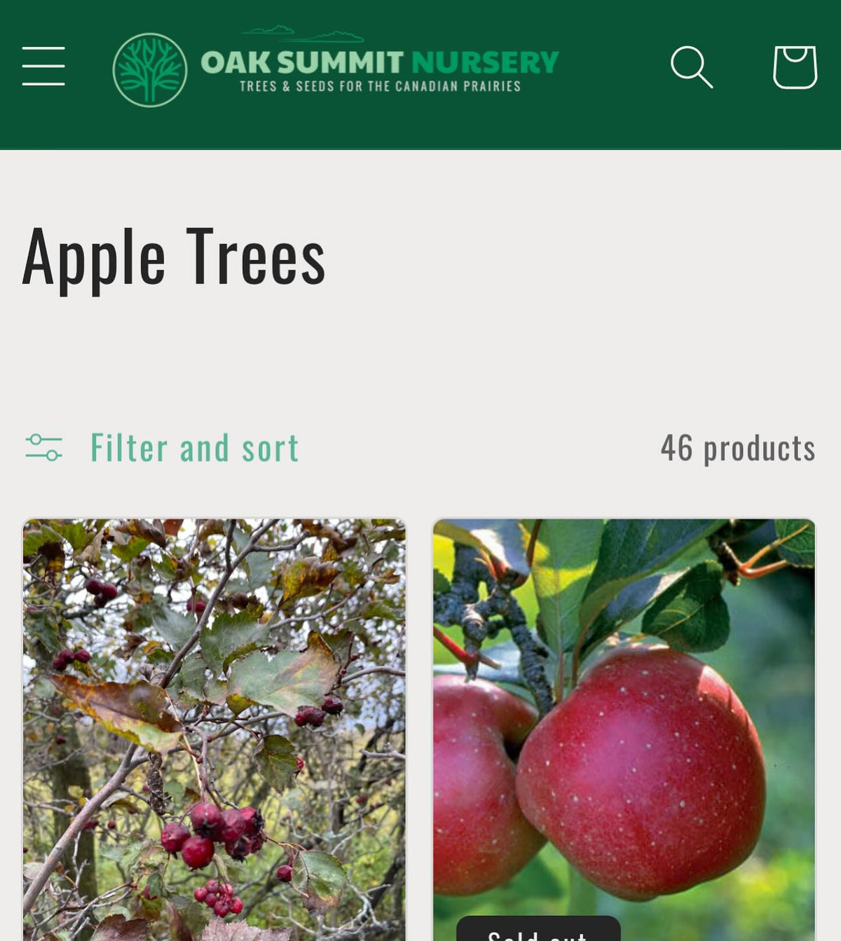 announcing our 2024 catalog is out and we’re taking bare root orders for april/may shipping, image 3 of 6
