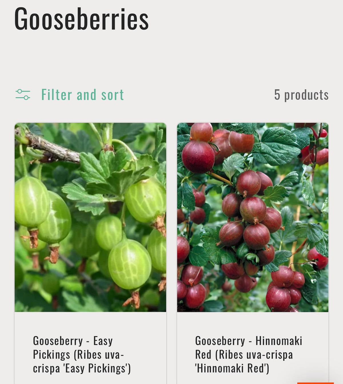 announcing our 2024 catalog is out and we’re taking bare root orders for april/may shipping, image 4 of 6