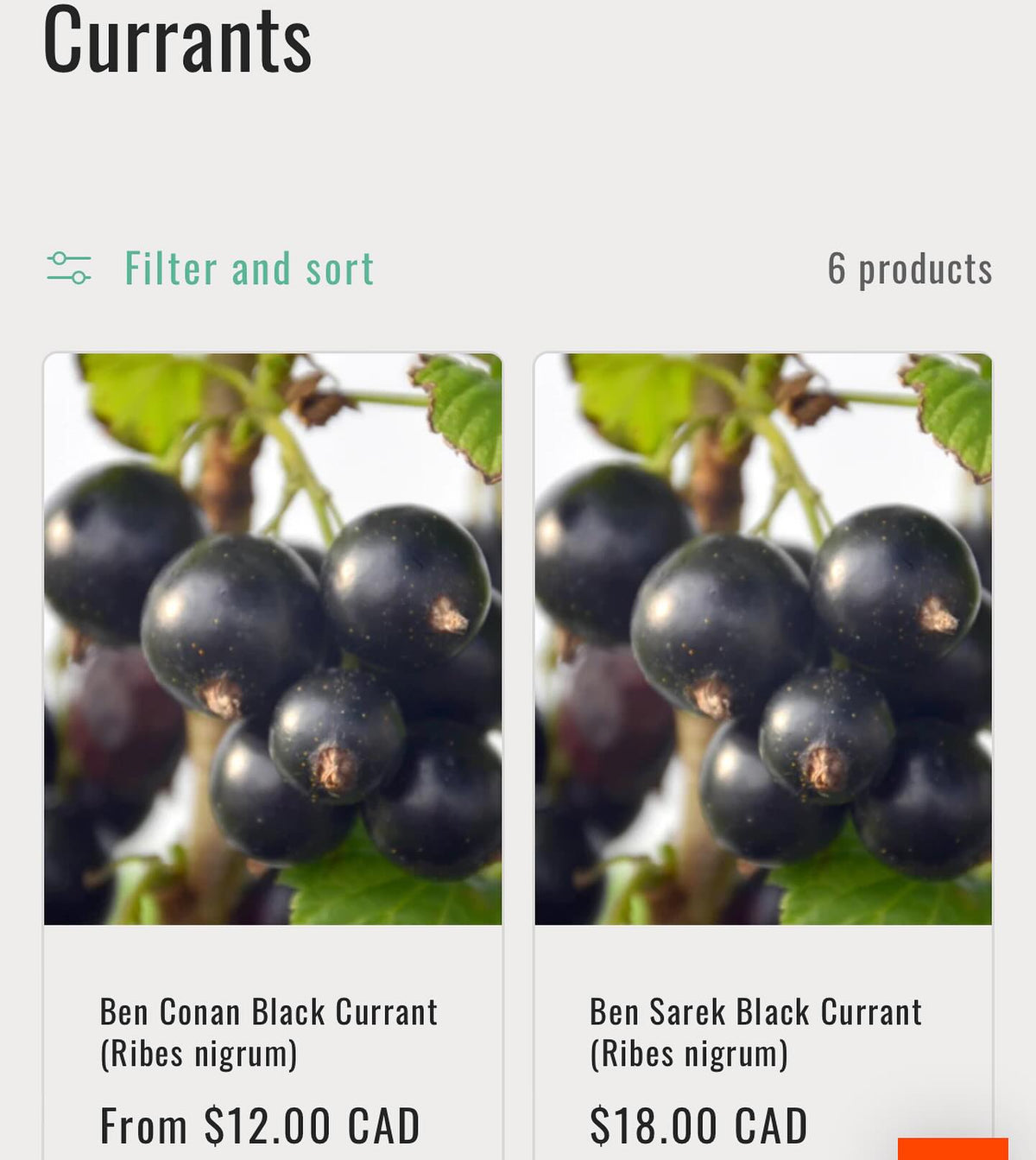 announcing our 2024 catalog is out and we’re taking bare root orders for april/may shipping, image 5 of 6