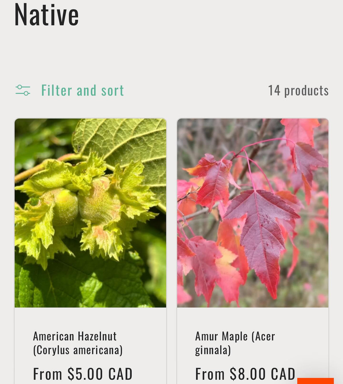 announcing our 2024 catalog is out and we’re taking bare root orders for april/may shipping, image 6 of 6