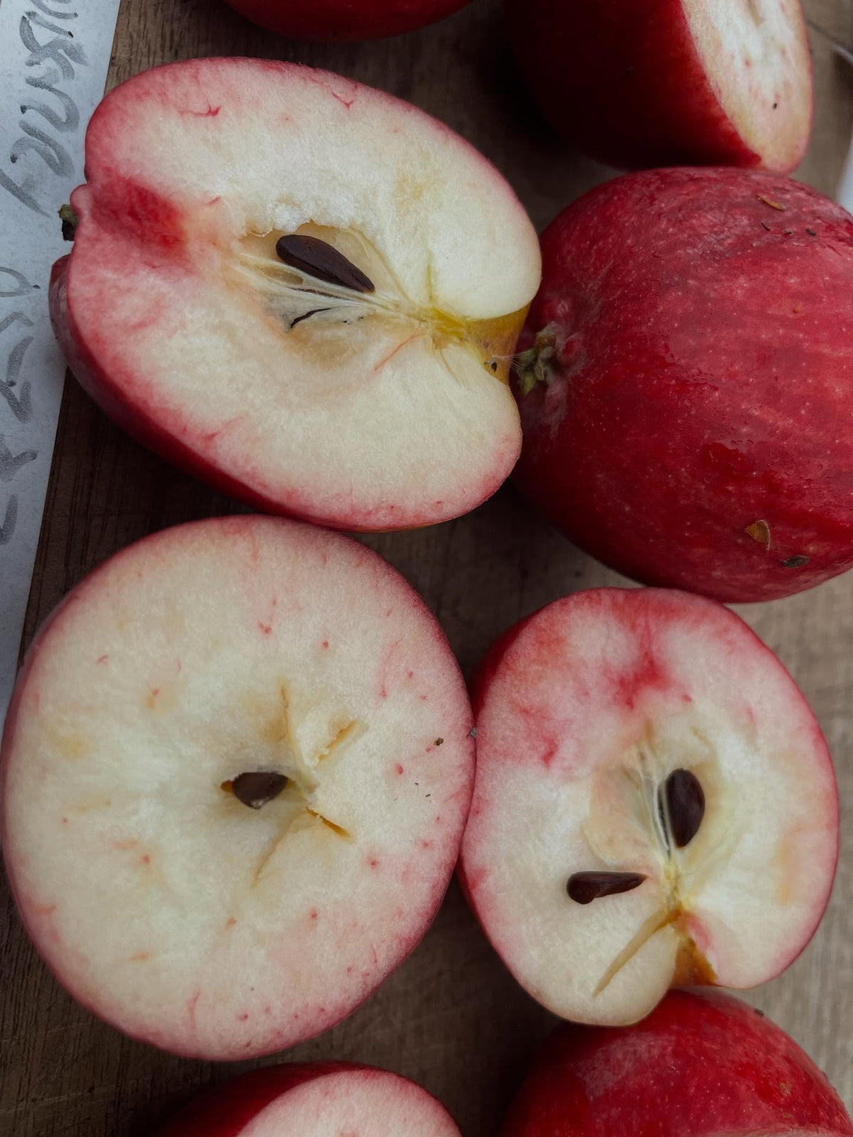 apple breeding, image 2 of 5