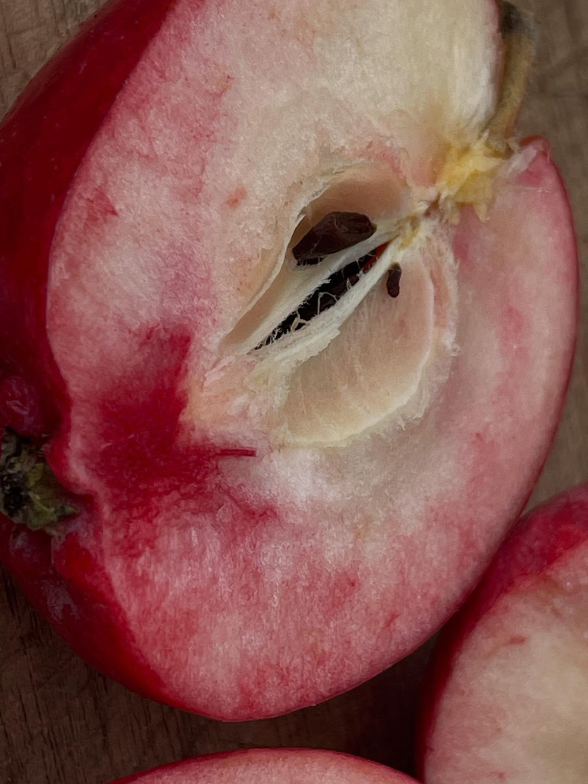 apple breeding, image 3 of 5