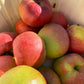 Belle de Boskoop apple fruit