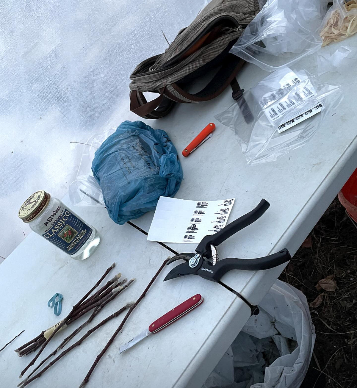 bench grafting apples last spring, the conventional and a few root grafts, image 6 of 6