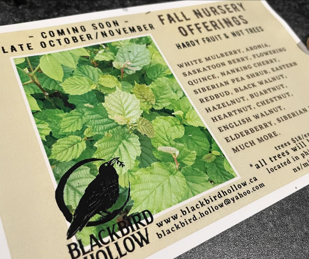big thanks to blackbird hollow for an awesome trade, image 2 of 2