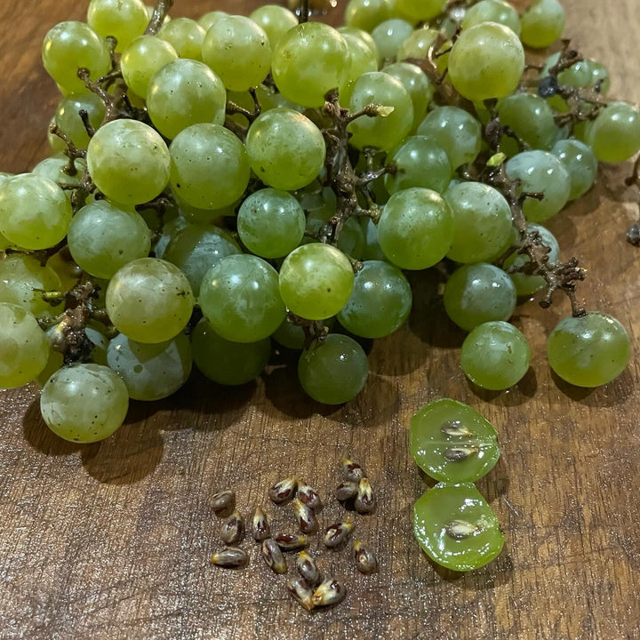 brianna is a tasty green grape that can handle -40, image 2 of 2