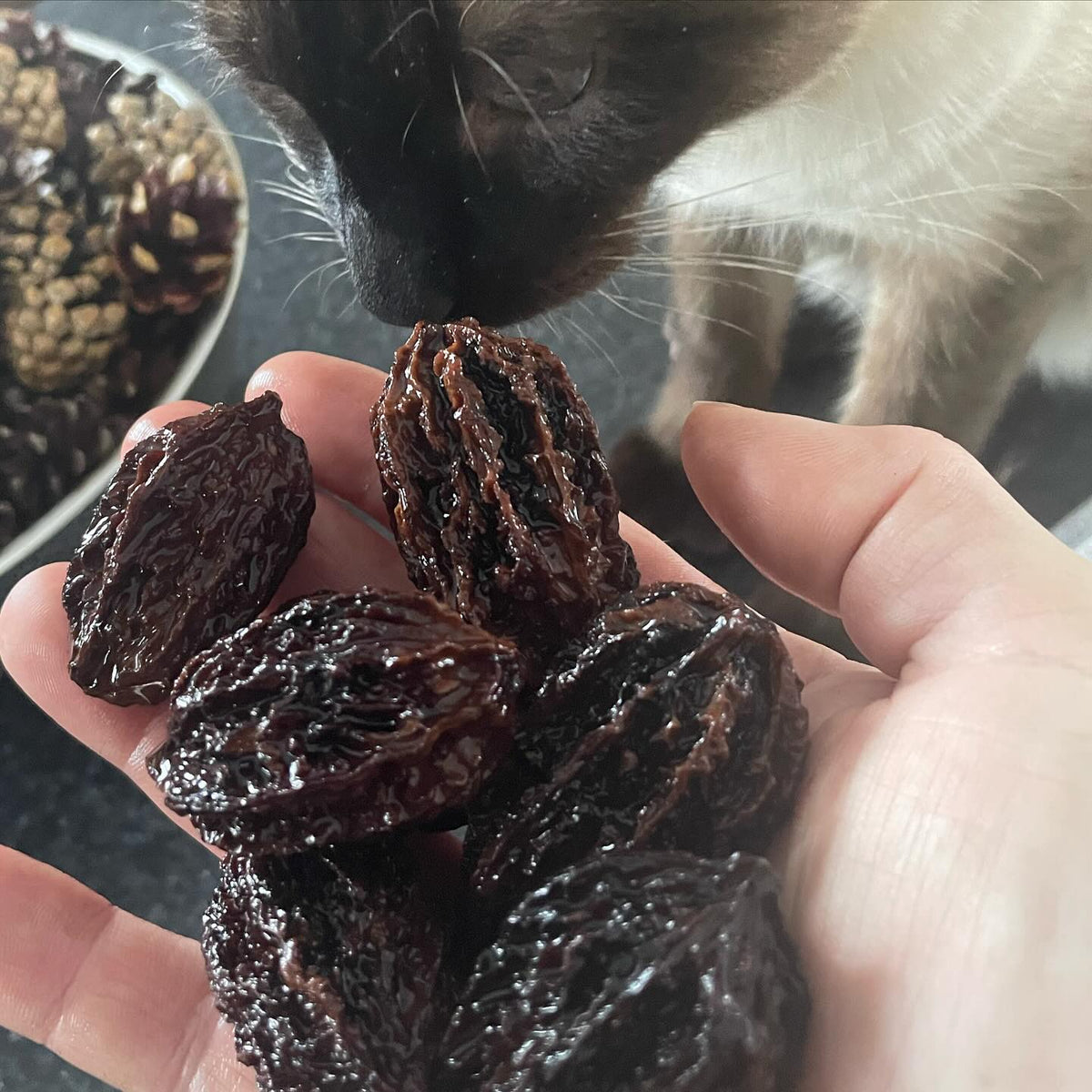 brought in some more butternuts from a US source, image 1 of 2