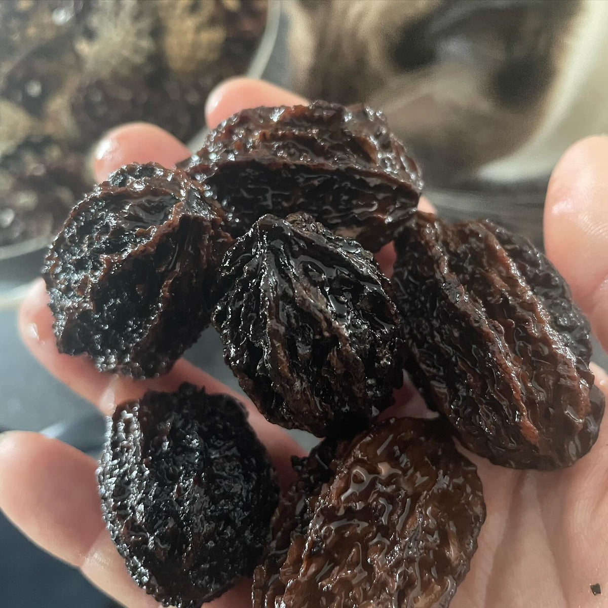 brought in some more butternuts from a US source, image 2 of 2
