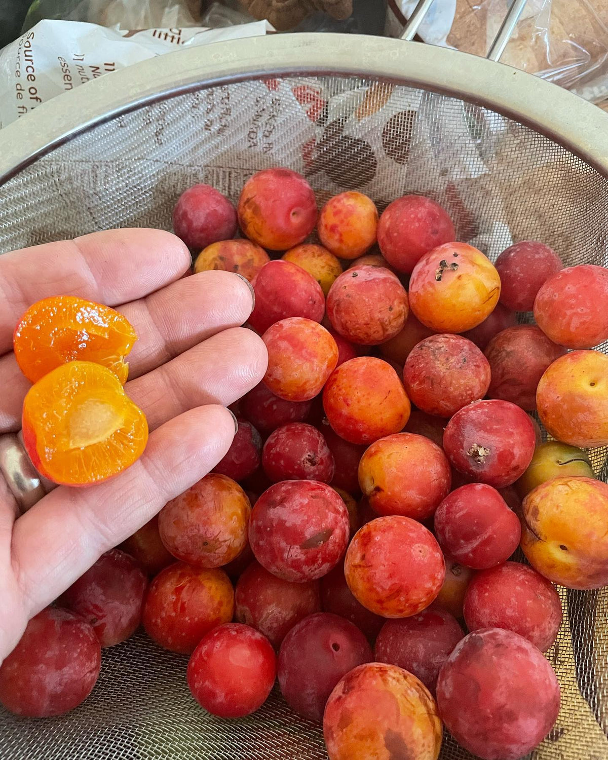 Can you identify these plums, image 4 of 4