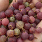 canadian gooseberry, Ribes oxyacanthoides, image 9 of 9