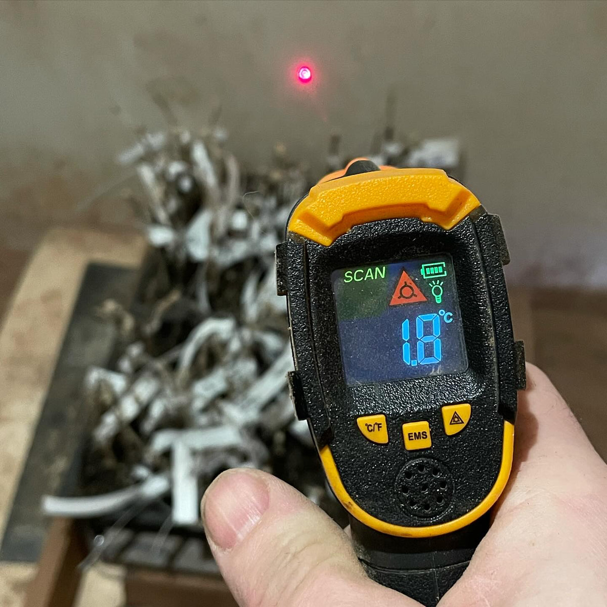 checking temperature in this unheated room hosting hardwood cuttings, image 1 of 2
