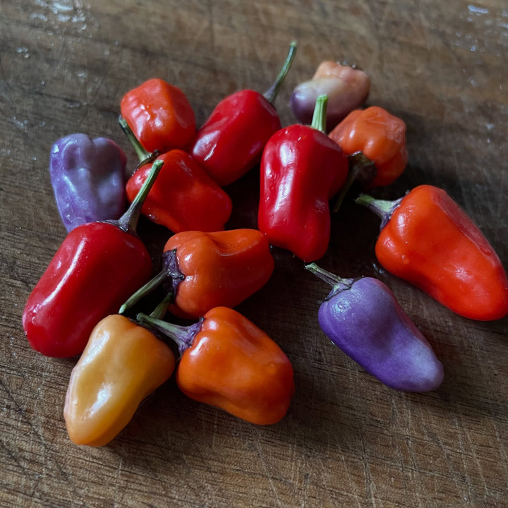 chinese five color peppers, image 2 of 2