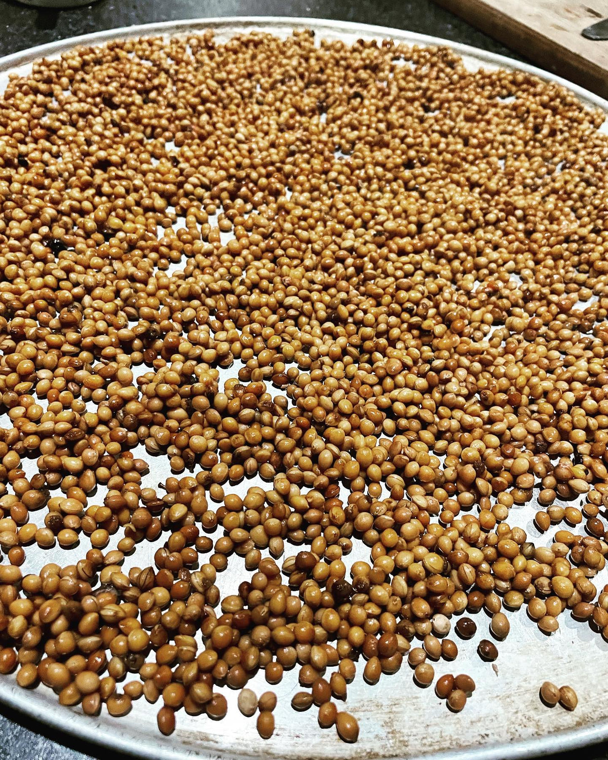 choke cherry / prunus virginiana seeds cleaned and spread out to air dry, image 1 of 2