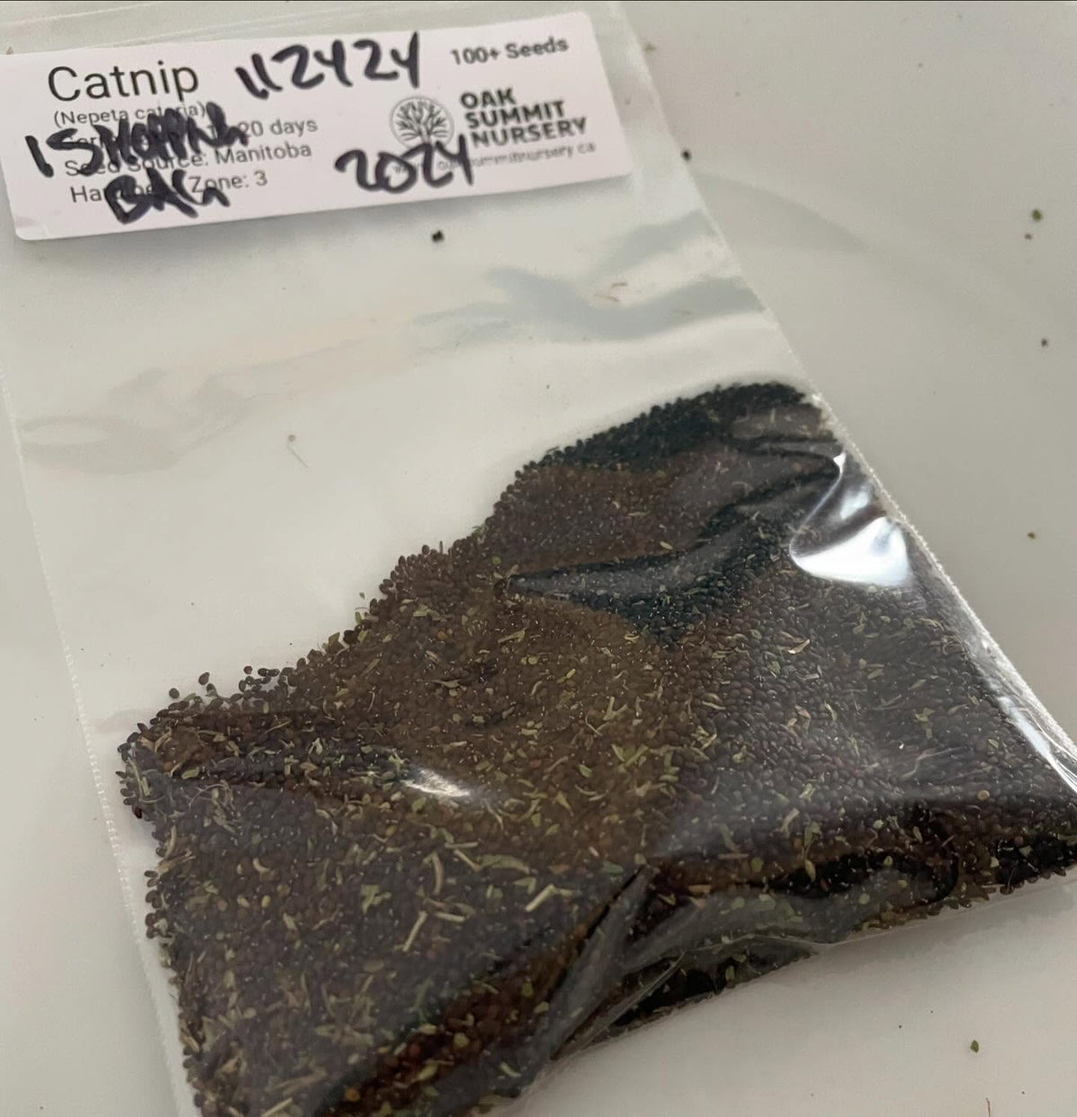 cleaning a brown shopping bag of catnip for seed, image 8 of 8