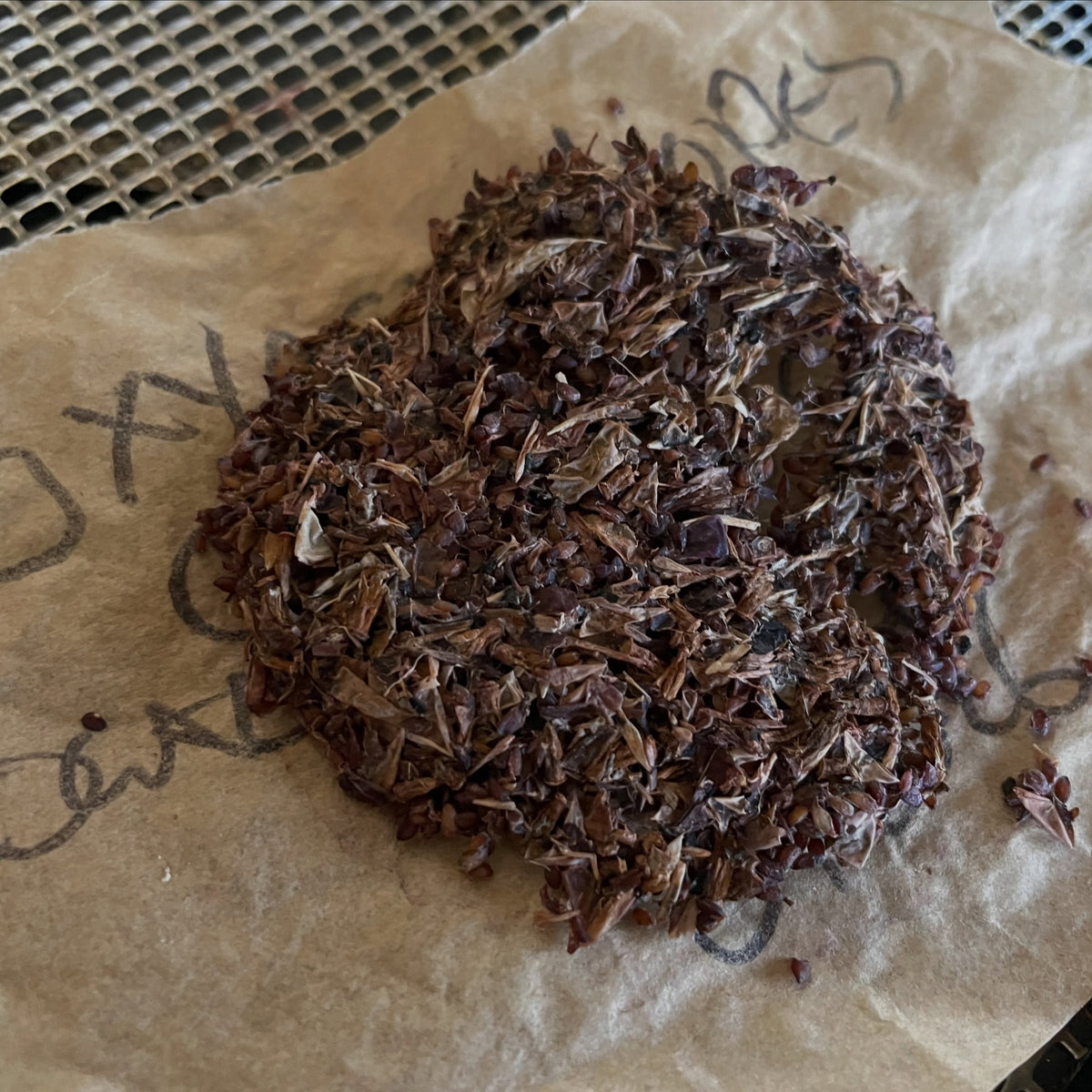 A heap of dried, crushed gooseberry skins and seeds on handwritten brown paper, ready to rub over a screen.