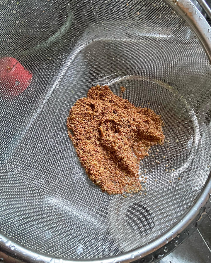 cleaning wild raspberry seed, image 1 of 2
