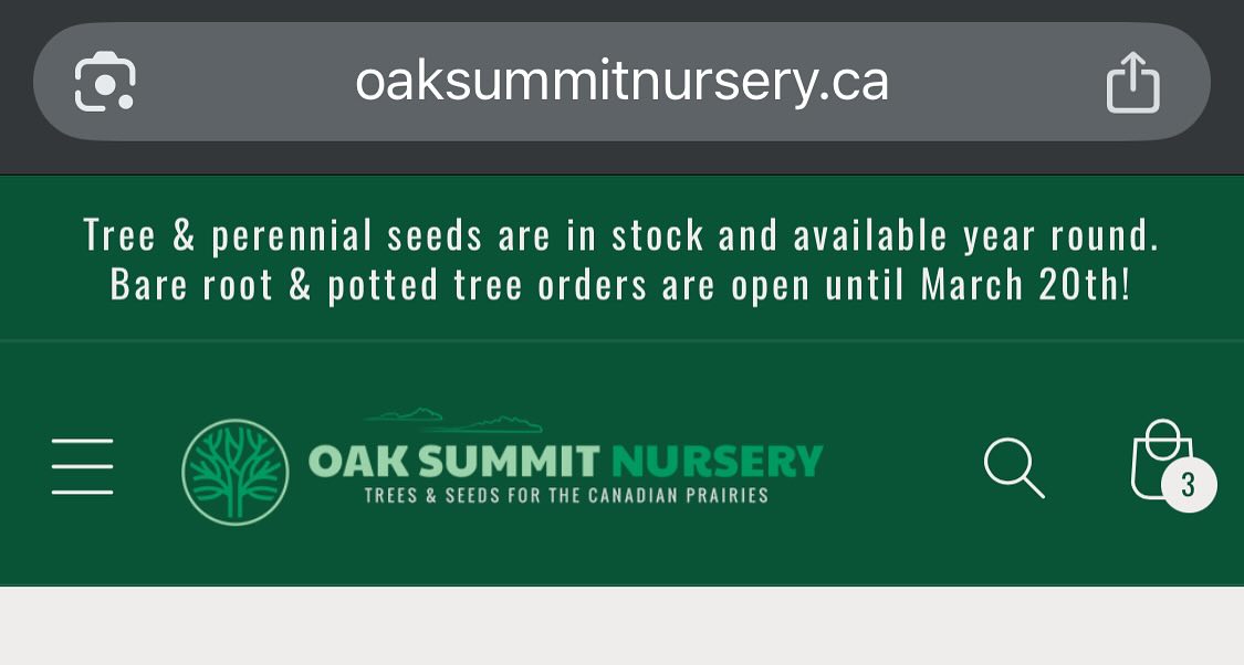 closing tree orders for the season tomorrow, last call, image 2 of 6