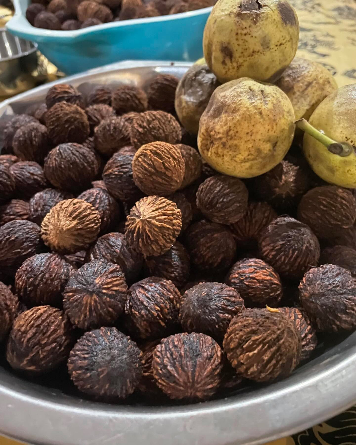 collecting black walnuts for seed next spring, image 1 of 2