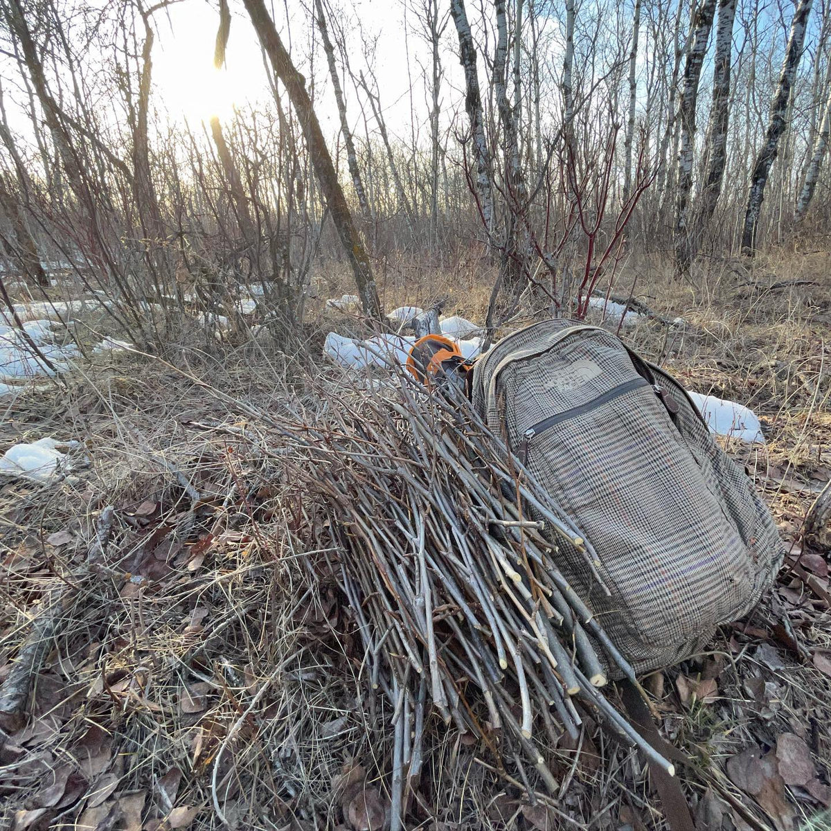 collecting hardwood cuttings today