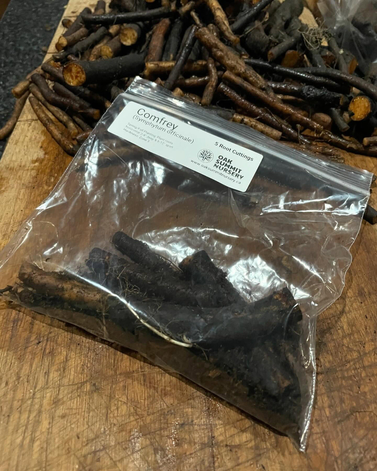 common comfrey, root cuttings, image 4 of 4