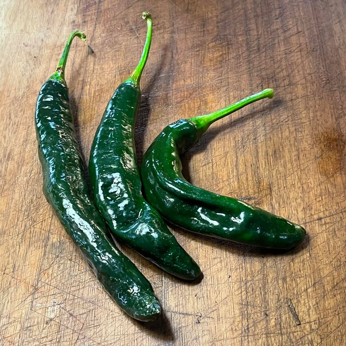 czech black, pasilla bajio, jimmy nardello, bananarama, super chilli #peppers, image 2 of 5