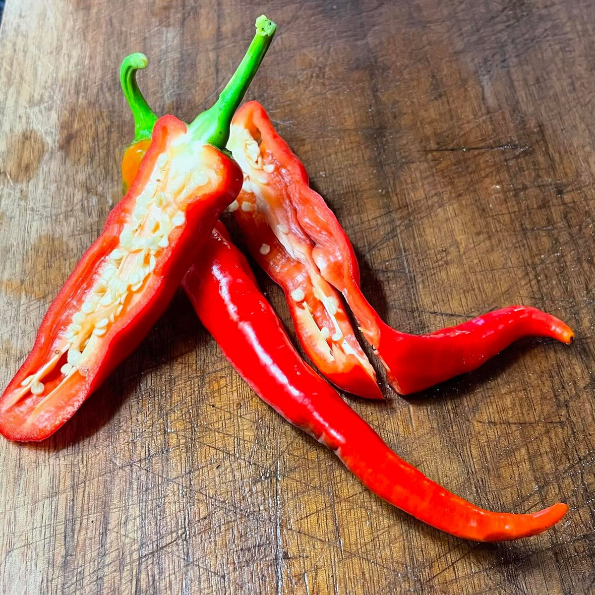 czech black, pasilla bajio, jimmy nardello, bananarama, super chilli #peppers, image 3 of 5