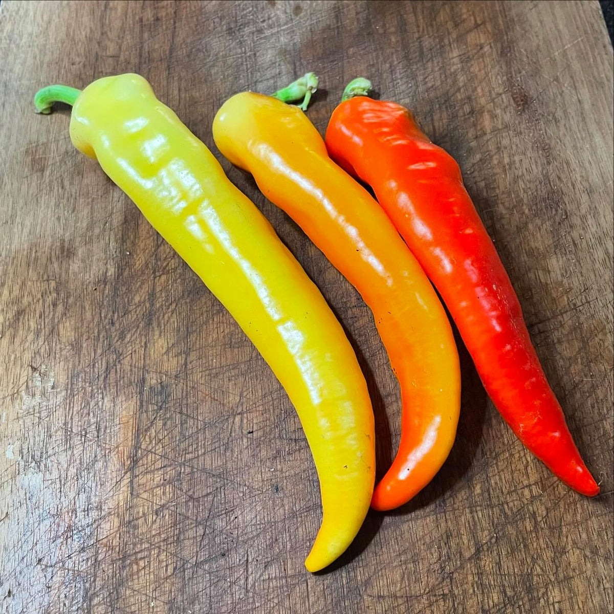 czech black, pasilla bajio, jimmy nardello, bananarama, super chilli #peppers, image 4 of 5