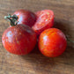 Dark Galaxy tomatoes at Oak Summit Nursery, upright view [osn-rotate-20260829:1]