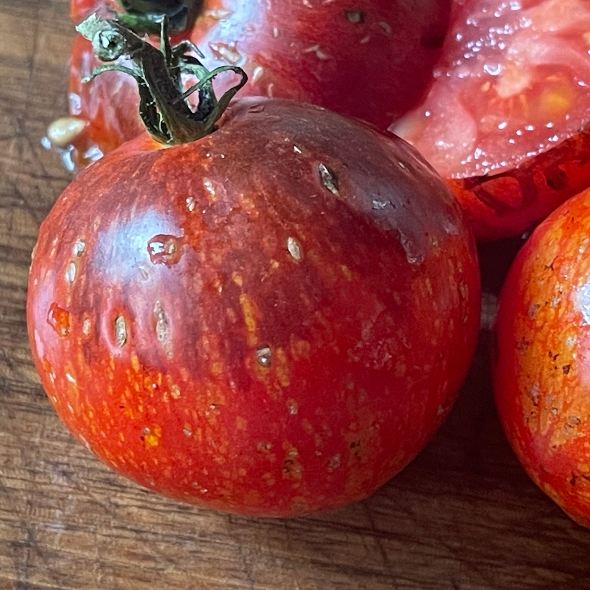 Dark Galaxy tomato close view at Oak Summit Nursery, upright view [osn-rotate-20260829:3]
