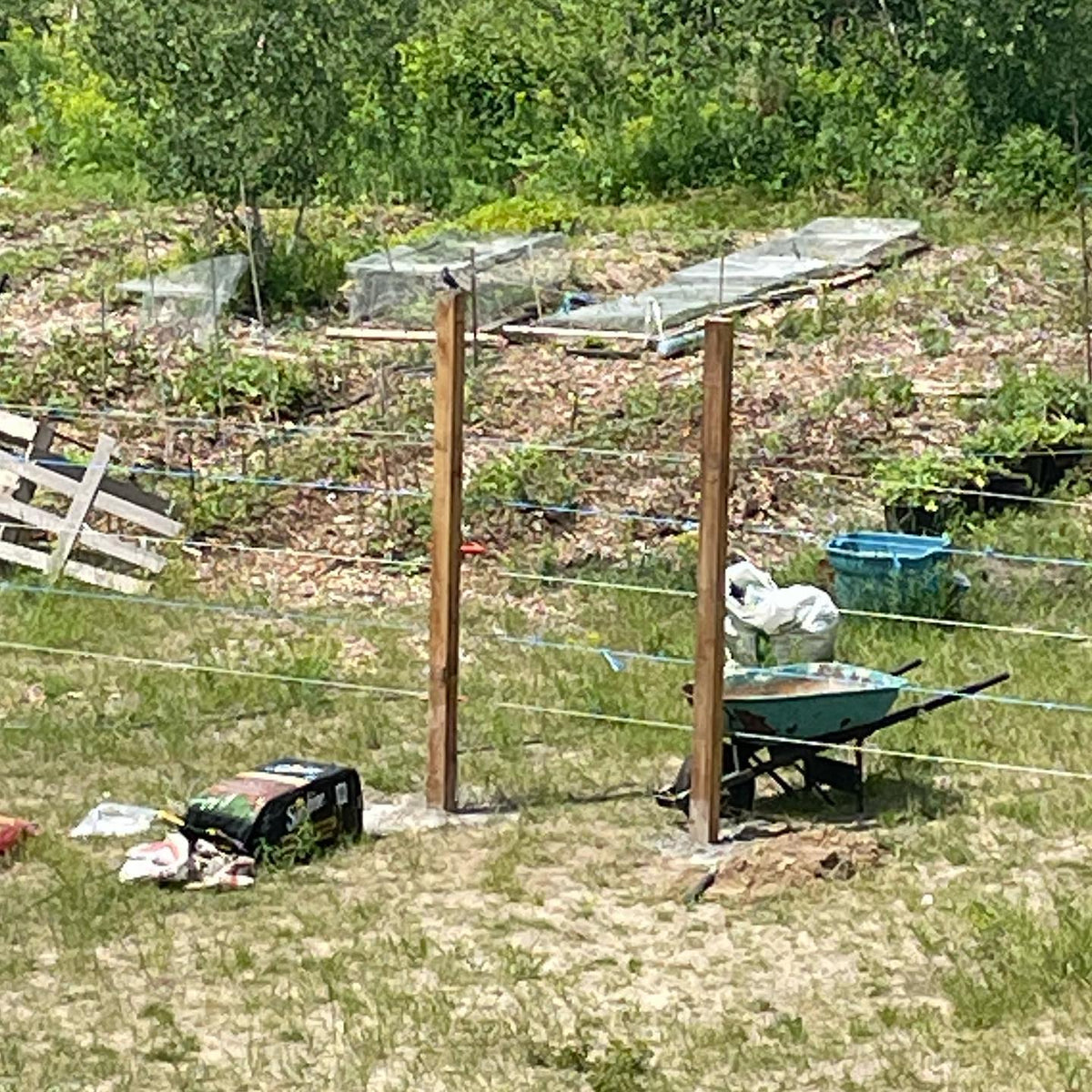 deer fence in progress, image 1 of 2