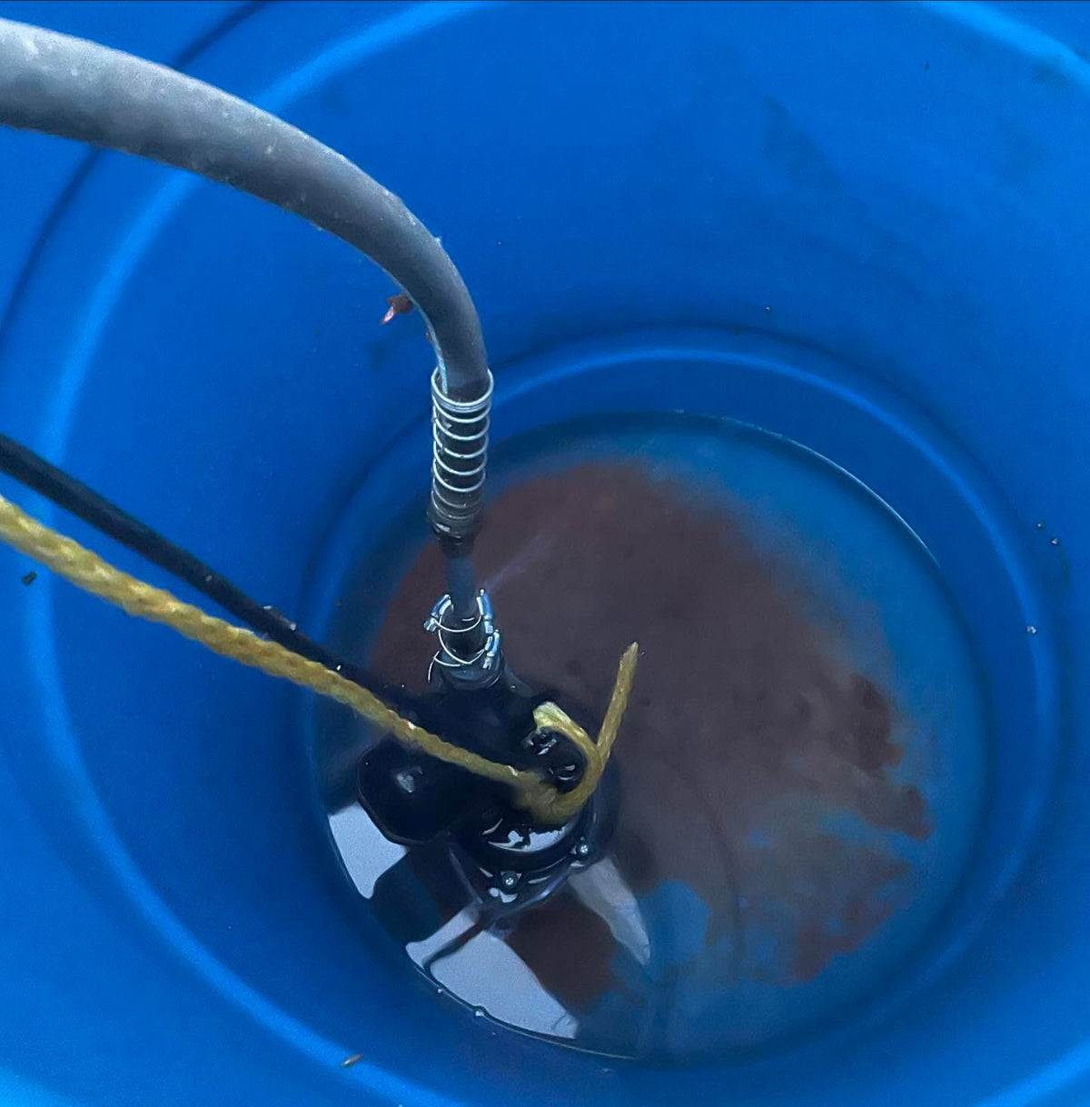 draining the rain barrels at the back of the greenhouse, I filled these with water eight years ago, not sure what, image 2 of 2