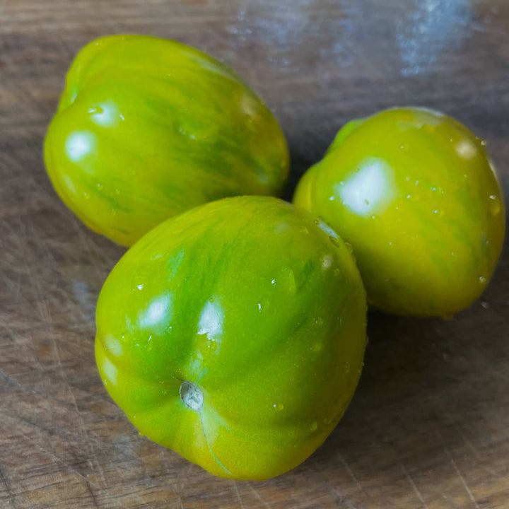 dwarf saucy mary, introduced by the dwarf tomato project in 2018, image 2 of 3