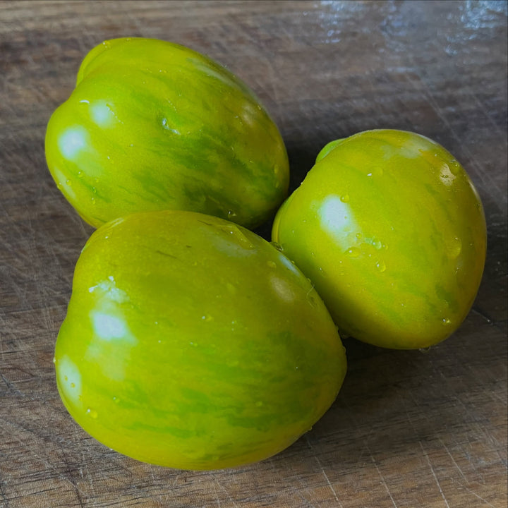 dwarf saucy mary, introduced by the dwarf tomato project in 2018, image 3 of 3