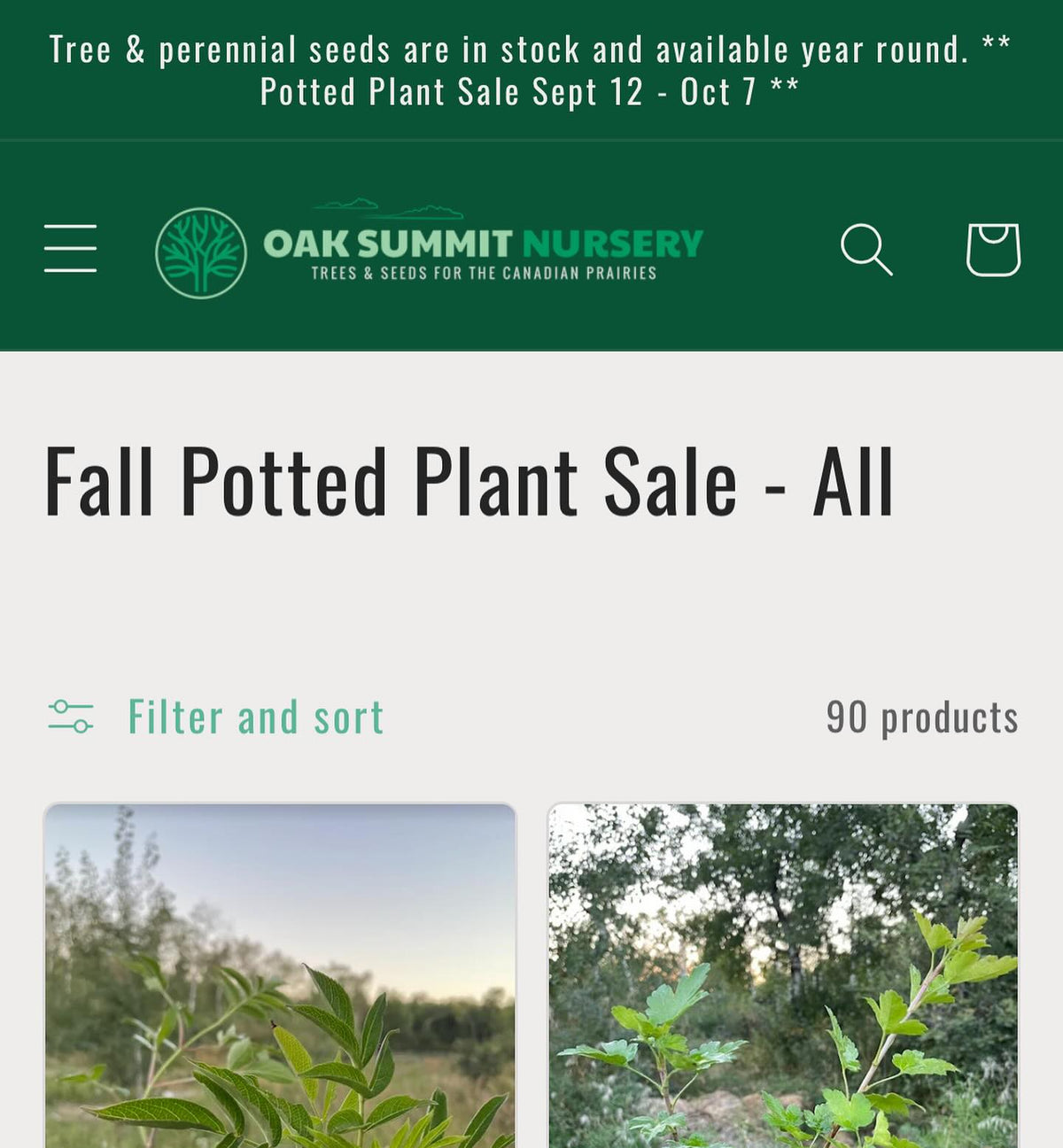 fall potted plant sale is on, image 1 of 4