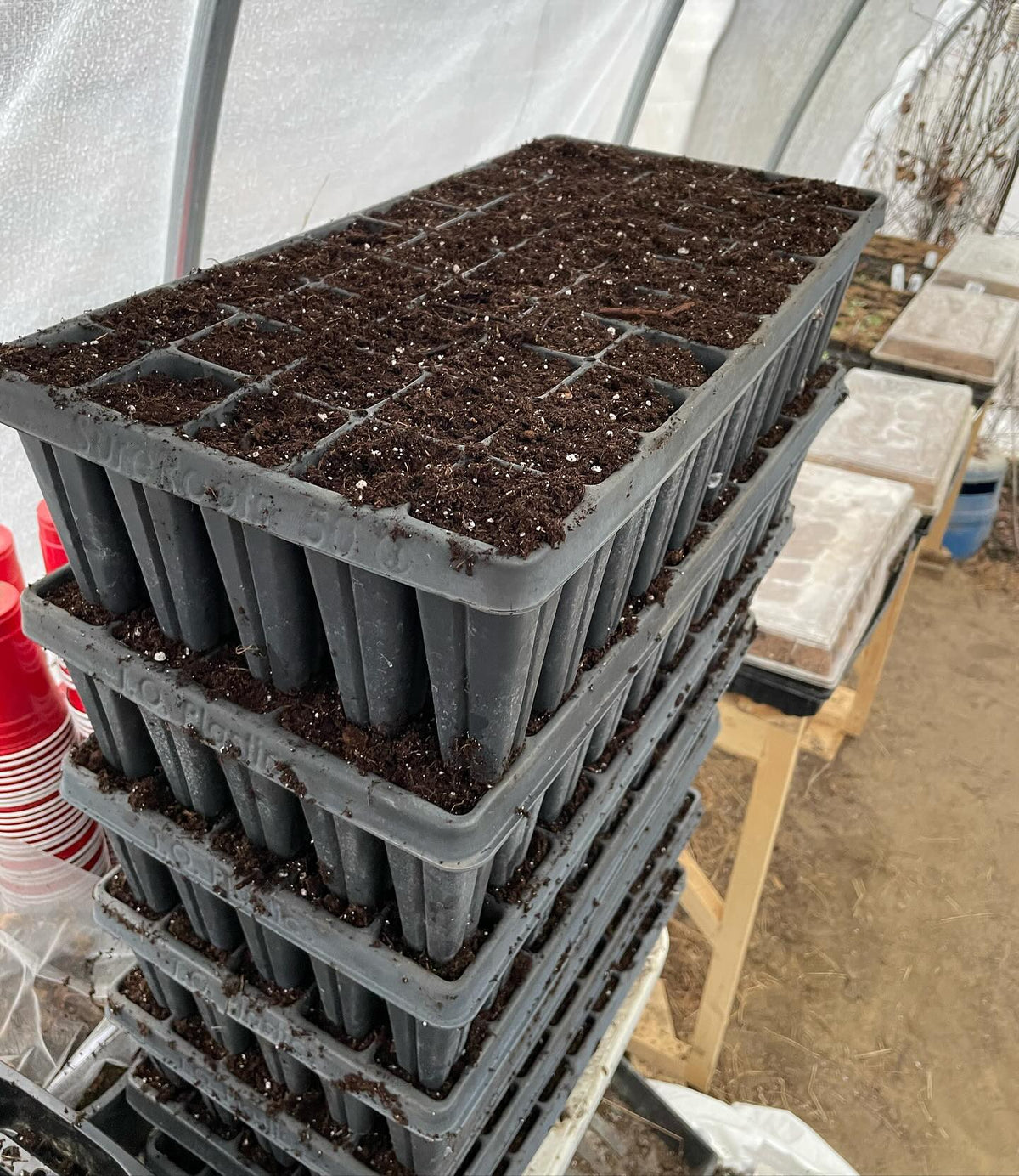 first set loaded, thinking I’ll just plant some of everything in these for variety