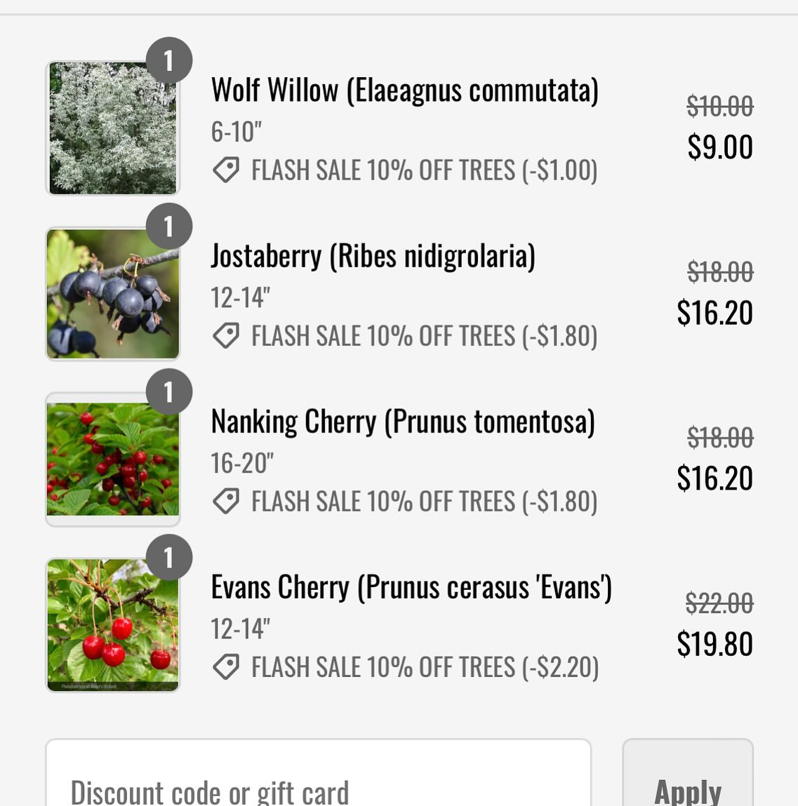flash sale 10% off trees for the next few days then we’re closed for bare root orders for the year