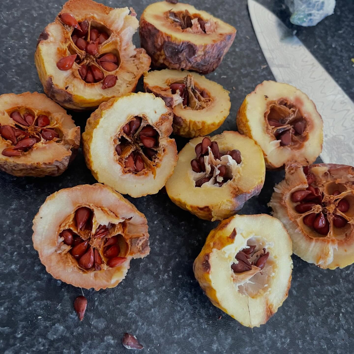 flowering quince, a shrubby relative to the larger tree form quince