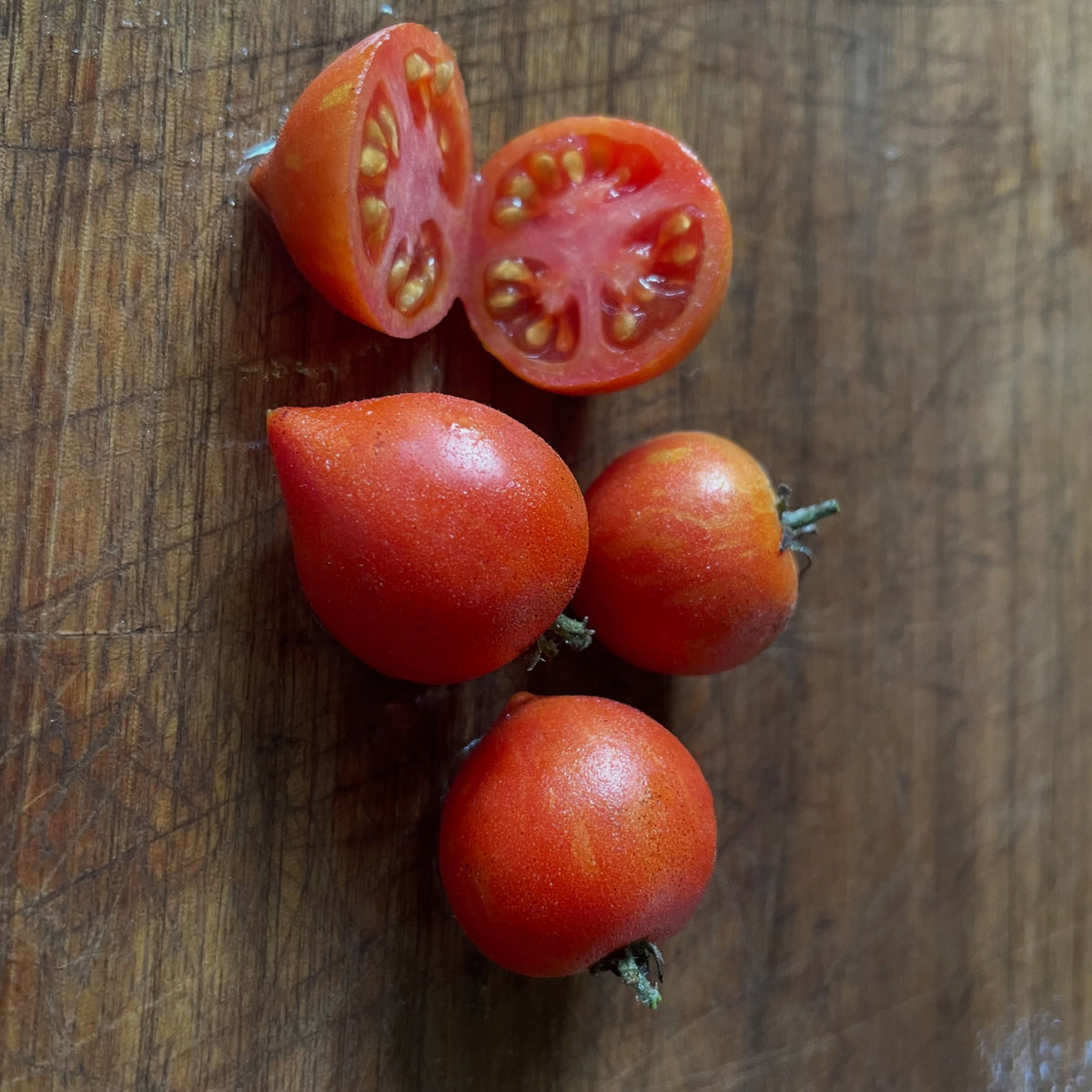 Fuzzy Wuzzy micro dwarf tomato, image 1 of 3
