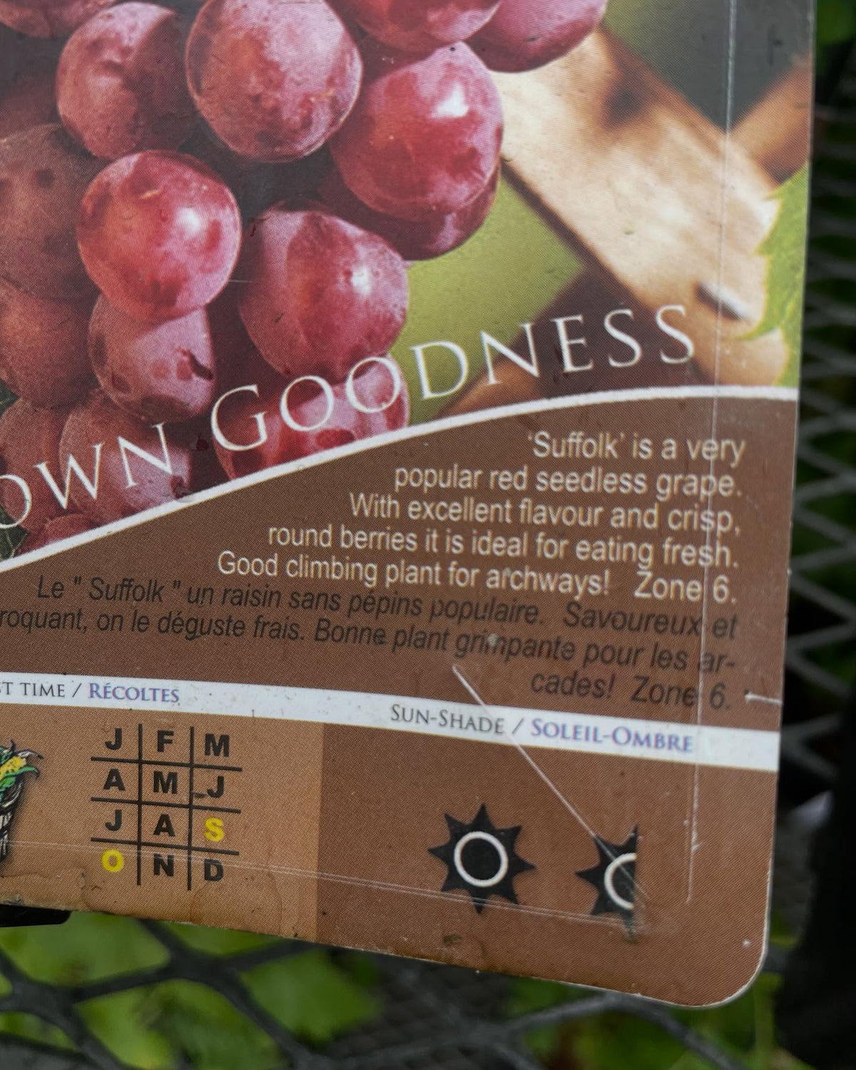 garden center at a big box store in zone 3, all the grapes for sale on the rack are zone 5-6, image 3 of 4