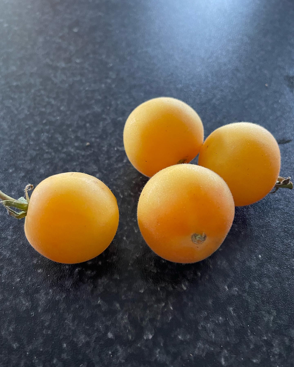 garden peach tomatoes are actually fuzzy like a peach, tomatoes have so much variation it’s fun to be growing dozens, image 2 of 2