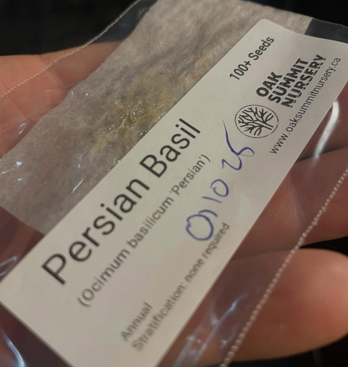 germination testing our basil, this bag has a strong response after just a few days, image 2 of 2