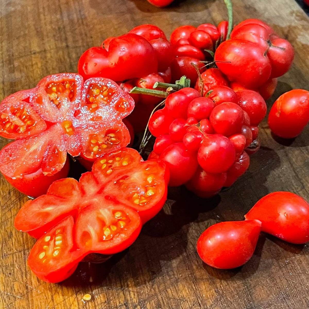 godzilla the only tomato you can just pull apart to eat, image 1 of 2