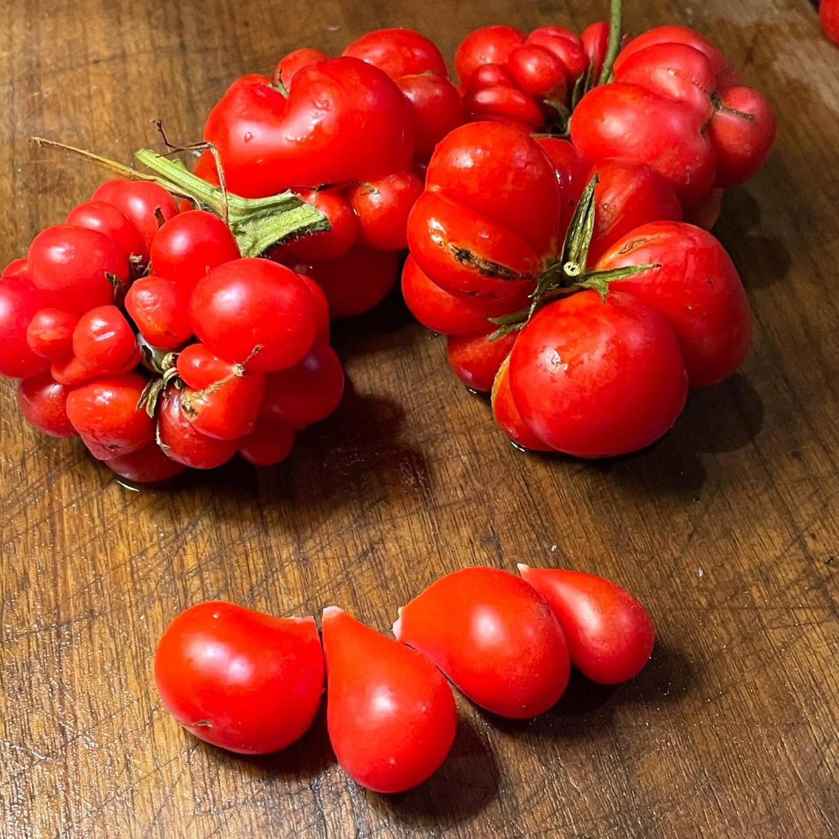 godzilla the only tomato you can just pull apart to eat, image 2 of 2