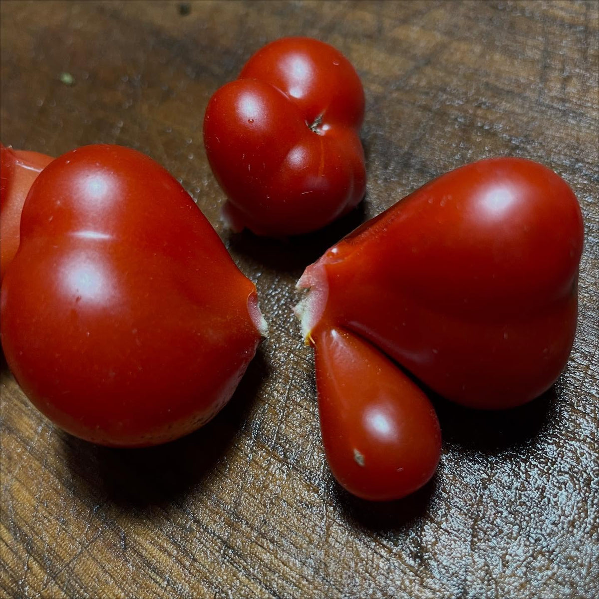 godzilla tomatoes easily break apart into lobes, image 1 of 3