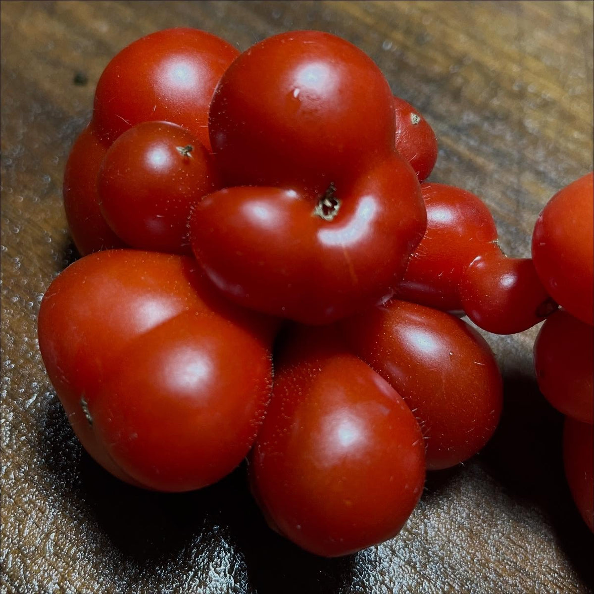godzilla tomatoes easily break apart into lobes, image 2 of 3