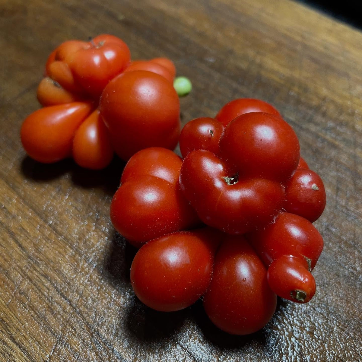 godzilla tomatoes easily break apart into lobes, image 3 of 3